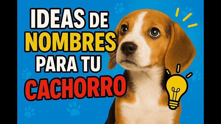 IDEAS de nombres Para tu CACHORRO  que todos van a AMAR! 🐕💖