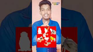 Optical Illusions 🤯🔎 #part2 #arichandranlifestyle #illusion #tamil #funny #youtubeshorts #shorts