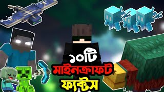 Minecraft এর ১০ টি Facts || Bangla || Top 10 Minecraft Facts