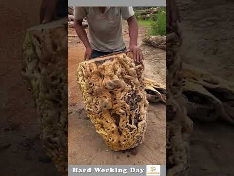 The Process Of