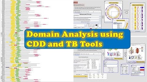 How to perform Domain Analysis: Exploring CDD and TB Tools for Advanced Research
