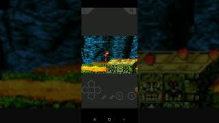 Crash Bandicoot The Huje Adventure