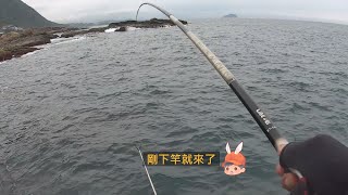 水湳洞圍牆區 釣況分享 Wild fishing in Taiwan. [嘟嘟釣魚狂#256] 2024/04/26 by 嘟嘟釣魚狂 14,290 views 4 weeks ago 9 minutes, 19 seconds