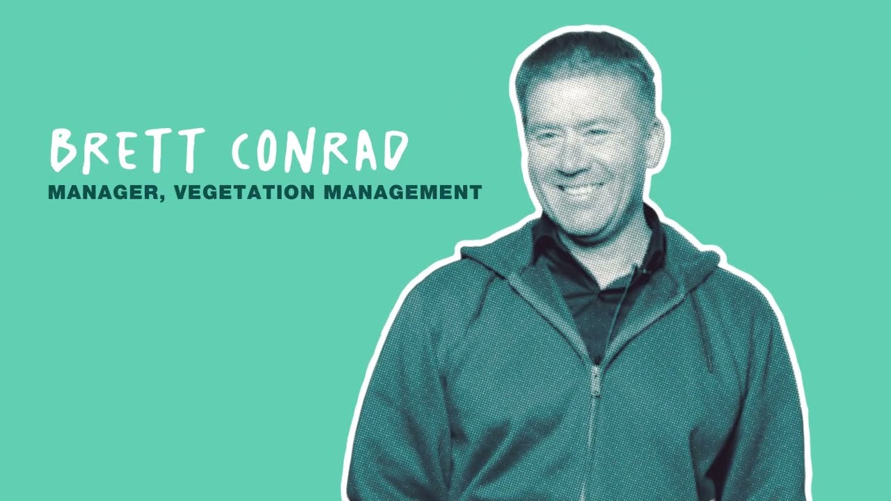 Vegetation Management