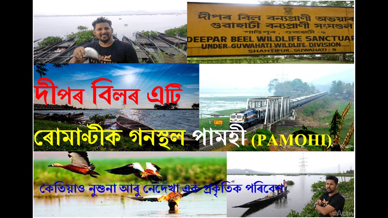 PAMOHI DEEPOR BEEL I দীপৰ বিল I Deepor Beel a lost paradise I DEEPOR BEEL GUWAHATI ASSAM I PAMOHI