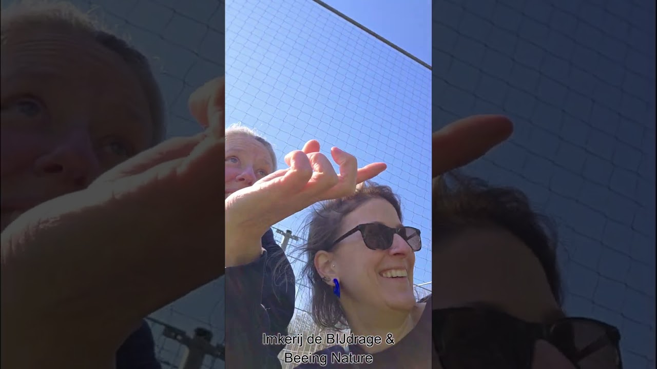 Wat er nu allemaal al in bloei staat… 🌿🌸