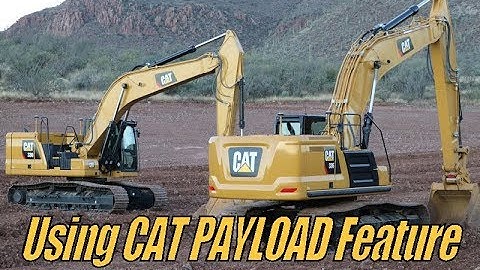 Using the Cat PAYLOAD Feature | Next Gen 336