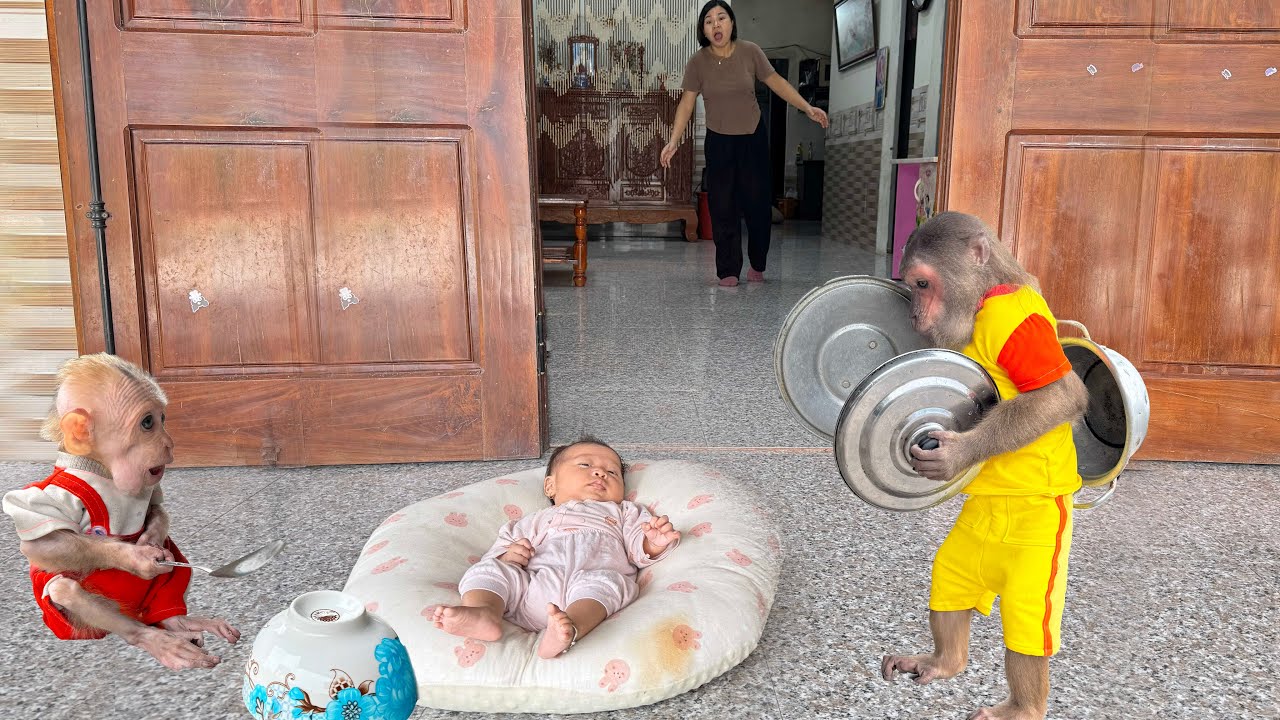 CUTIS & Baby Monkey come up with unique plan to take care of baby