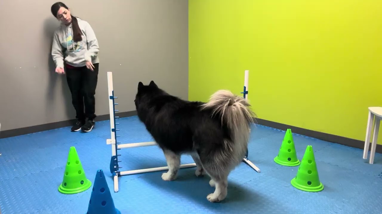 Царская ловкость