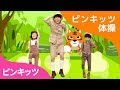 ジャングルたいそう | とらに襲われるよ！早く逃げて | ピンキッツ体操 | ピンキッツ童謡