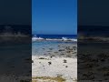 Day too relax at the beach in Tonga Eua