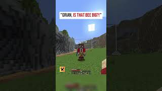 Grian, is that BEE BIG!