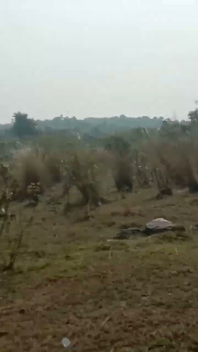 raihan.mondal1314 #remix #music