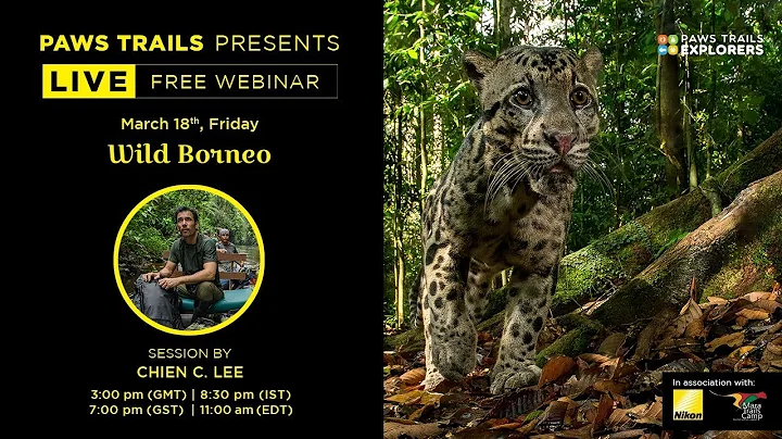 Wild Borneo with Chien Lee
