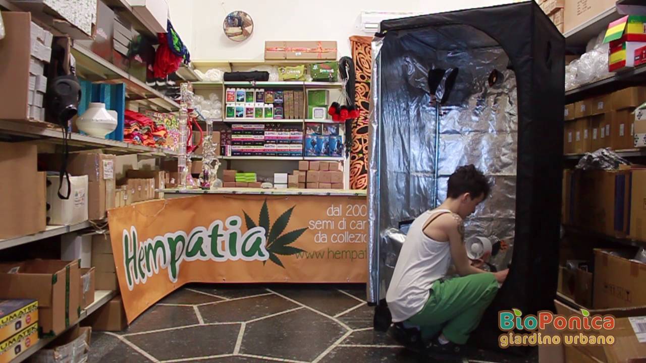 Tutorial Growbox 2/3 - HEMPATIA 2016
