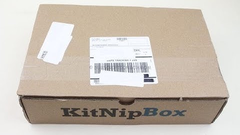 KitNipBox November 2019 Cat Subscription Box Unboxing + Coupon