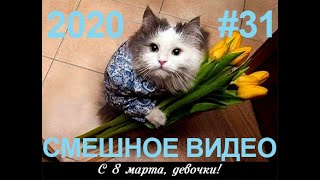 #СМЕШНОЕВИДЕО2020 #31 #лучшиеприколы2020 #подборкаприколов2020 #coub #киноприколы #любительскоевидео