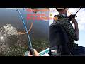 We Almost Landed a GIANT Bass… (You won’t believe this)