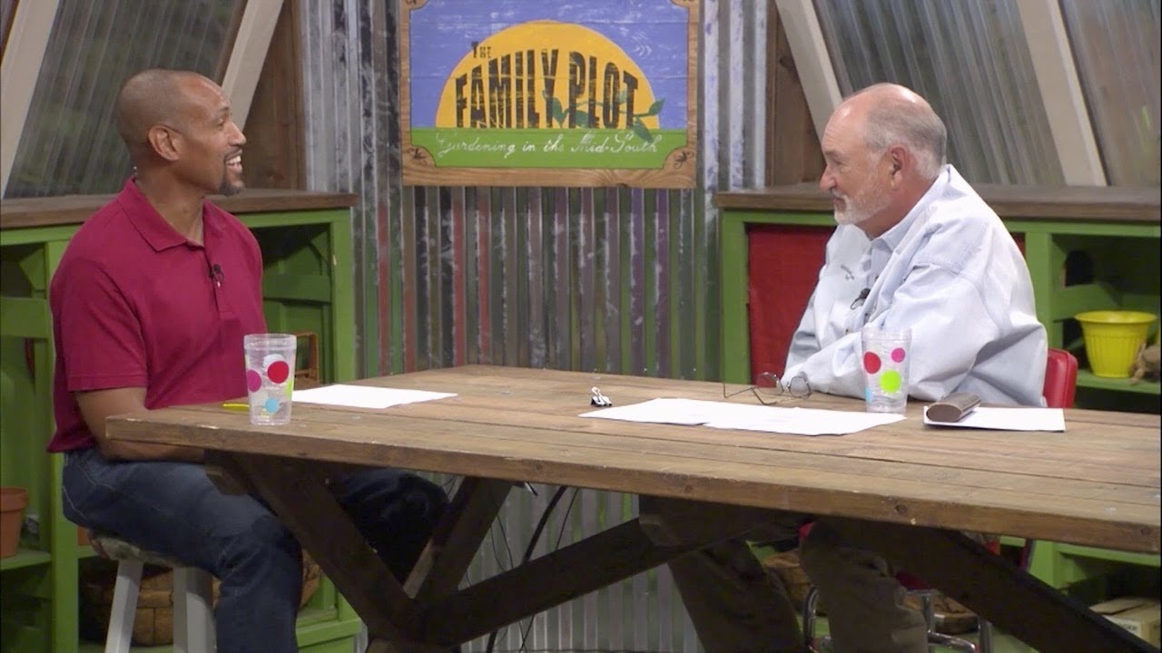 The Family Plot - August 8, 2020