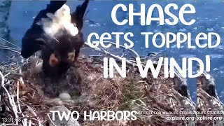 Two Harbors ▪︎ Chase Topples in Wind ▪︎ With 2 Nice Saves! ▪︎ 3\/24\/24 ▪︎ Explore.org