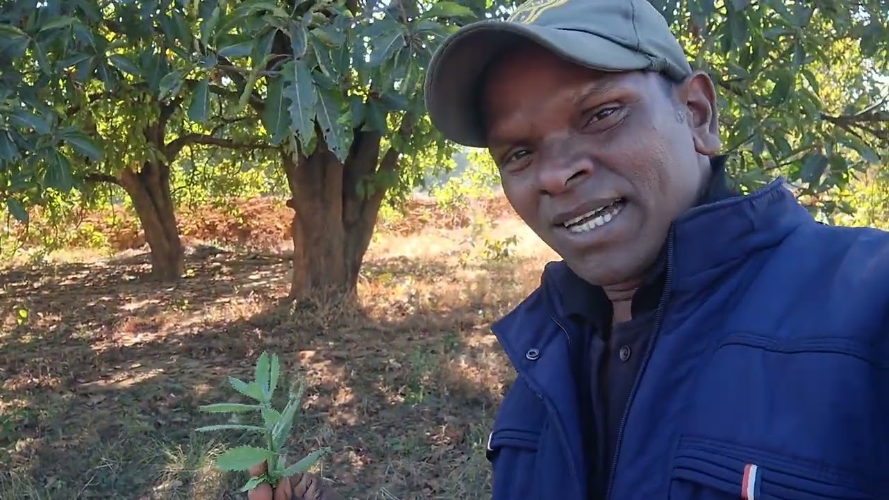 जैविक खेती अपनाओ...देश को समृद्ध बनाओ...दुर्लभ प्रकृति निहार चैनल...