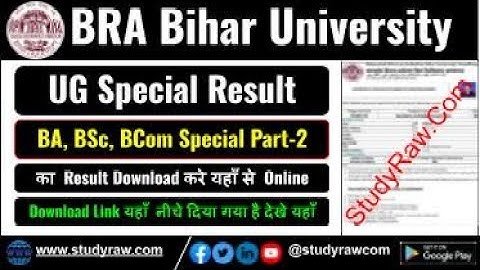 BRABU BA BSc BCom Part 2 Special Result 2025 BRA Bihar University