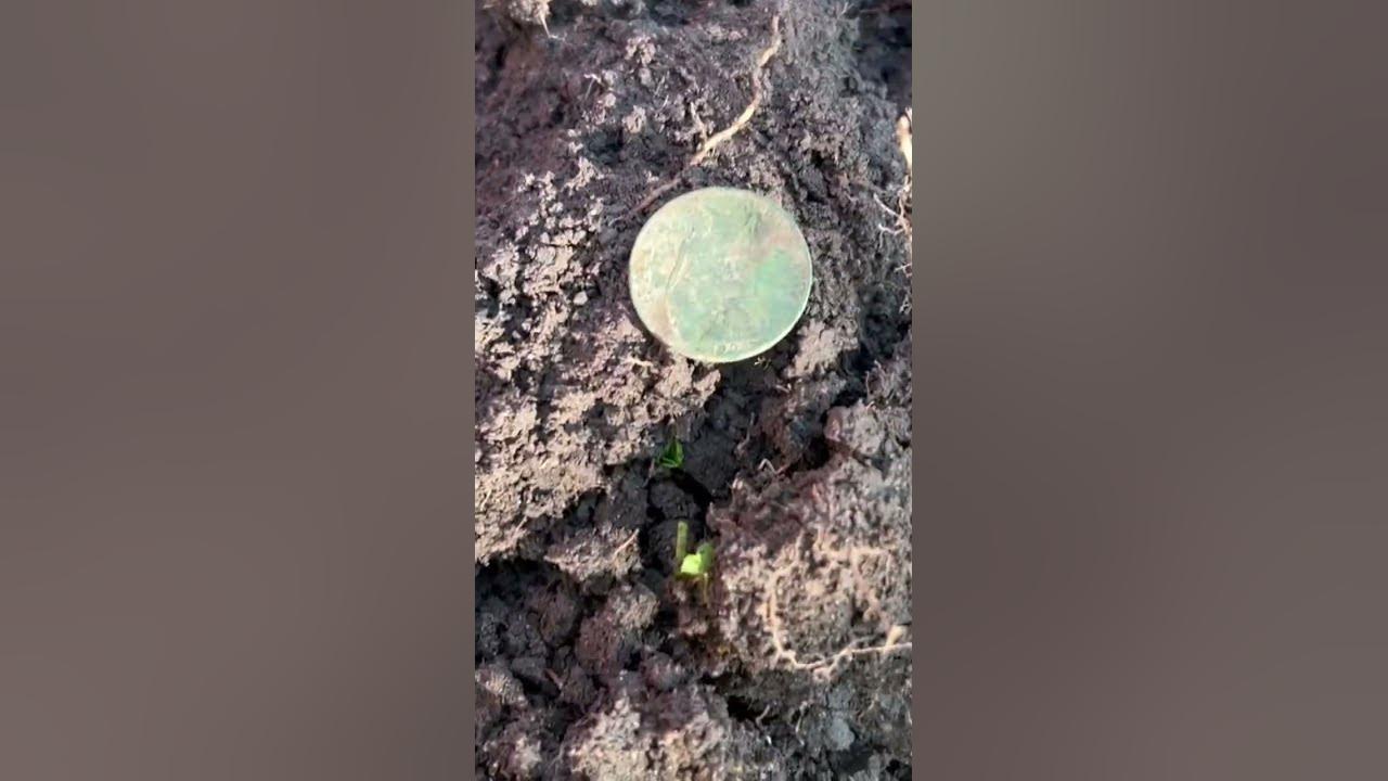 edward-the-7th-1903-half-penny-youtube