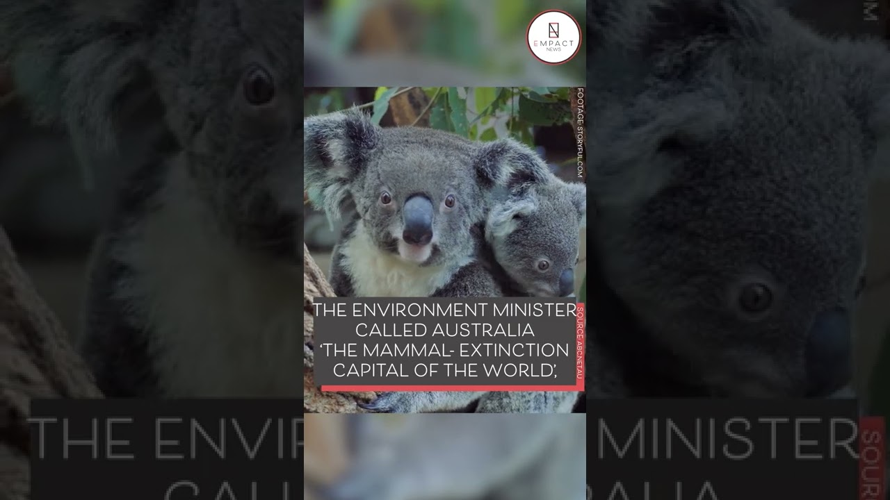 Australia Commits to Protecting 30% of Entire Country's Land for Wildlife