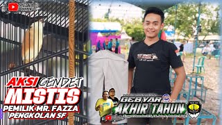 AKSI CENDET MISTIS MILIK MR. FAZZA PENGKOLAN SF DI GEBYAR AKHIR TAHUN GELARAN RONGGOLAWE JATENG 5