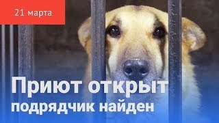 В Красноуфимске появился приют собаки ждут своих хозяев В Красноуфимске появился приют собаки ждут своих хозяев