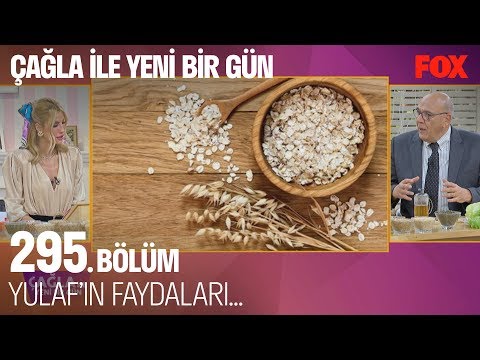 Video: Yulaf Po'stining Foydalari