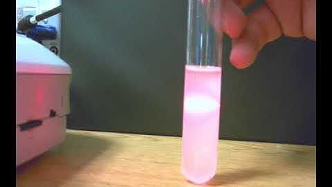 Solution Colloid and Suspension video lab