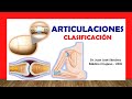 🥇 ARTICULACIONES, Clasificación Fácil, Rápida y Sencilla