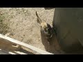 The Realities Of Life On A Desert Homestead In Montana