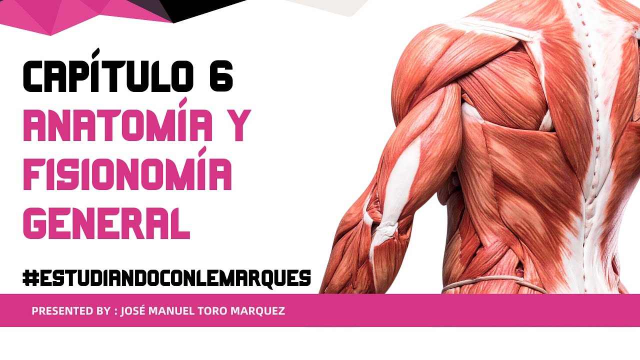 Общая анатомия и физиология – Глава 6 | Экзамен по косметологии | Флорида, США