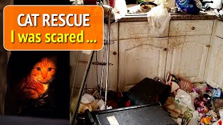 My Scariest Cat Rescue  Locked inside with no food for weeks.