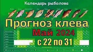 Прогноз клева рыбы на Эту неделю с 22 по 31 Мая 2024 Календарь рыбака на Май Лунный календарь