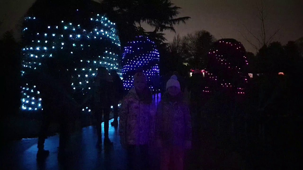 Kew Gardens Christmas Lights 2019 - YouTube