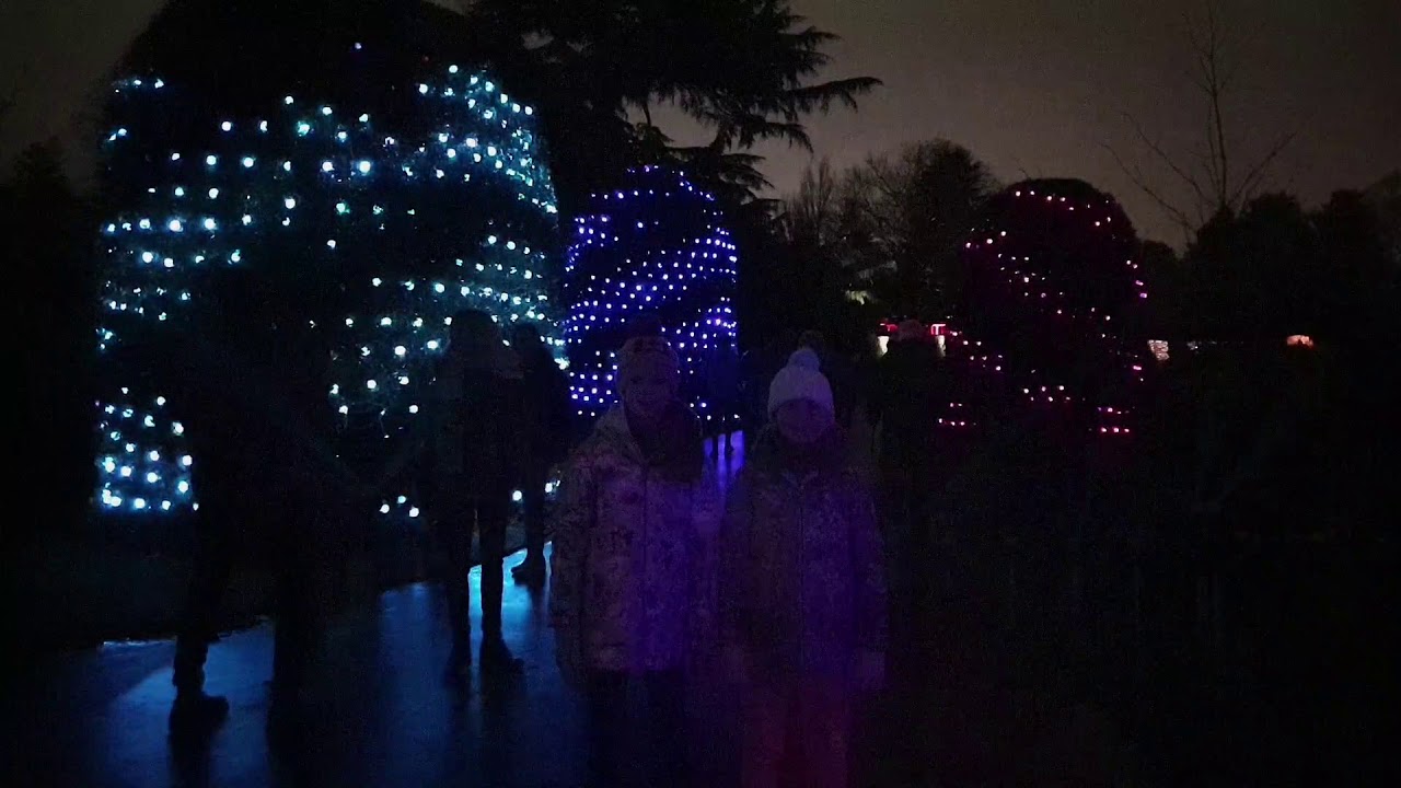 Kew Gardens Christmas Lights 2019 YouTube