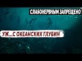 ЗАГАДОЧНЫЙ ИНЦИДЕНТ В ОКЕАНЕ, СРОЧНО ЗАСЕКРЕТИЛИ!  16.05.2023 ДОКУМЕНТАЛЬНЫЙ ФИЛЬМ