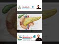 ReNEET 2026: 1 Mint में Endocrine System खल्लास! 💀 DISEASE CLASS 11TH NCERT BIOLOGY LINE BY LINE