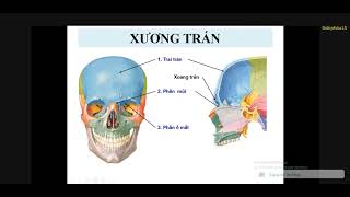 XƯƠNG KHỚP ĐẦU MẶT | TS. BS. NGUYỄN HỮU TRÍ