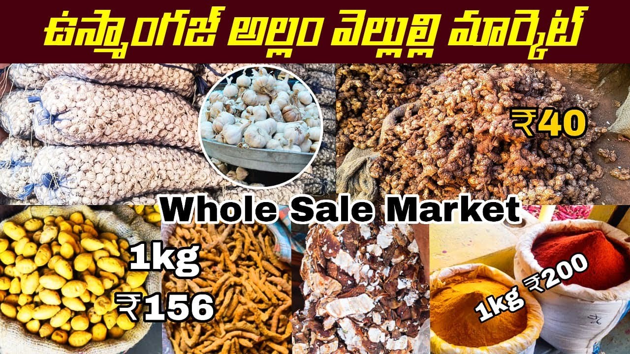 ఉస్మాన్ గంజ్  అల్లం వెల్లుల్లి మార్కెట్ | Whole sale Ginger 🫚 Garlic Market OsmanGunj Hyderabad