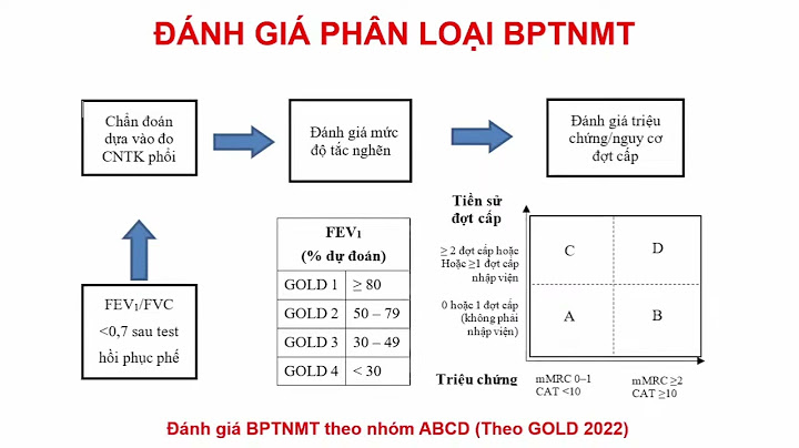 Phác đồ điều trị tiêu hóa của bộ y tế năm 2024