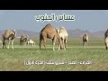 عساس الجنوب الجزلاء الصدر شرق تثليث 14 8 1437هـ الجزء الاول 