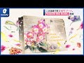 購入者が自分の言葉と花を書き足し、二次流通で育つNFTアート「NAKED BIG BOOK」発表(2022年4月28日)
