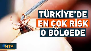 Download Lagu Kene Artışının Asıl Nedeni! Türkiye'de En Çok Hangi Bölgede Risk Görünüyor Uzmanlar Açıkladı | NTV MP3 Download Lagu Kene Artışının Asıl Nedeni! Türkiye'de En Çok Hangi Bölgede Risk Görünüyor Uzmanlar Açıkladı | NTV MP3