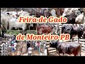 Feira do Gado de Monteiro-PB Dia 07/11 Veja como tá os preços do gado