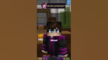 How I Got Hypixel Skyblock