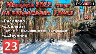 картинка: Мещера март 2022 на вездеходах Сокол